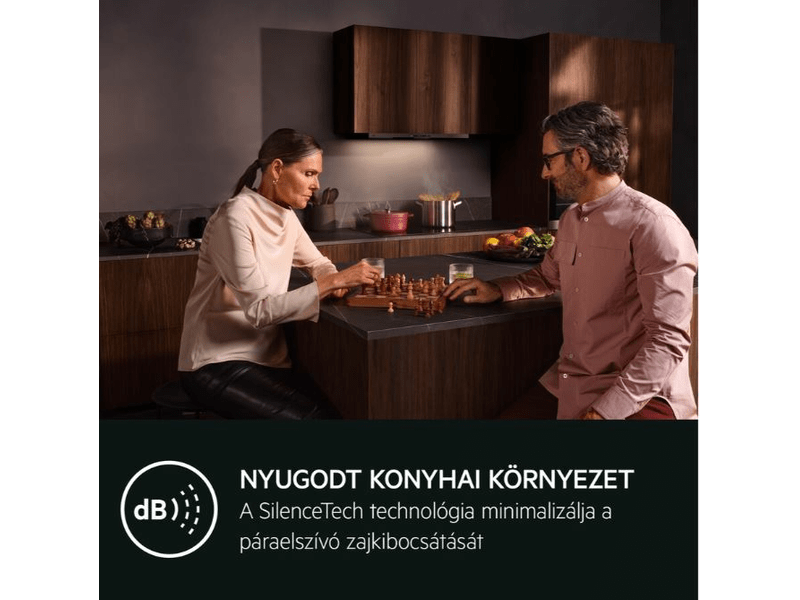 AEG GDP869PB Teleszkópos páraelszívó