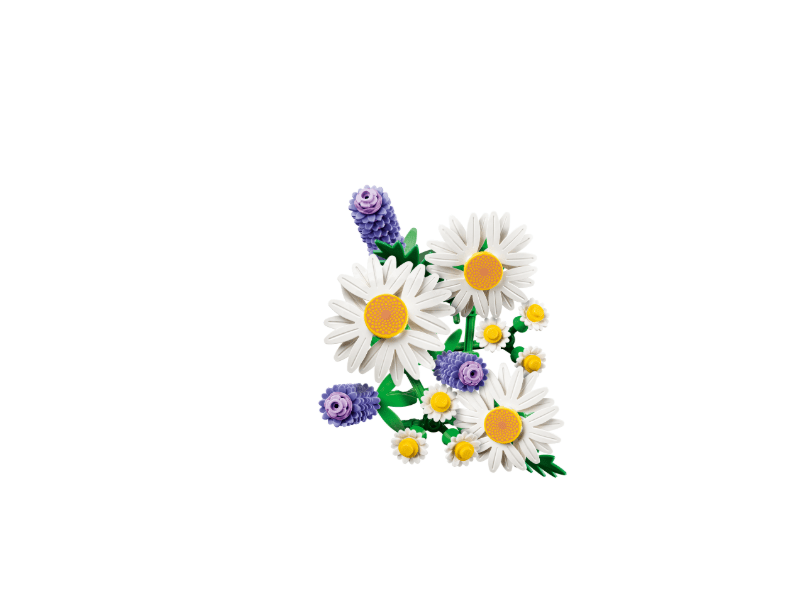 LEGO® Botanicals Százszorszépek (11508)