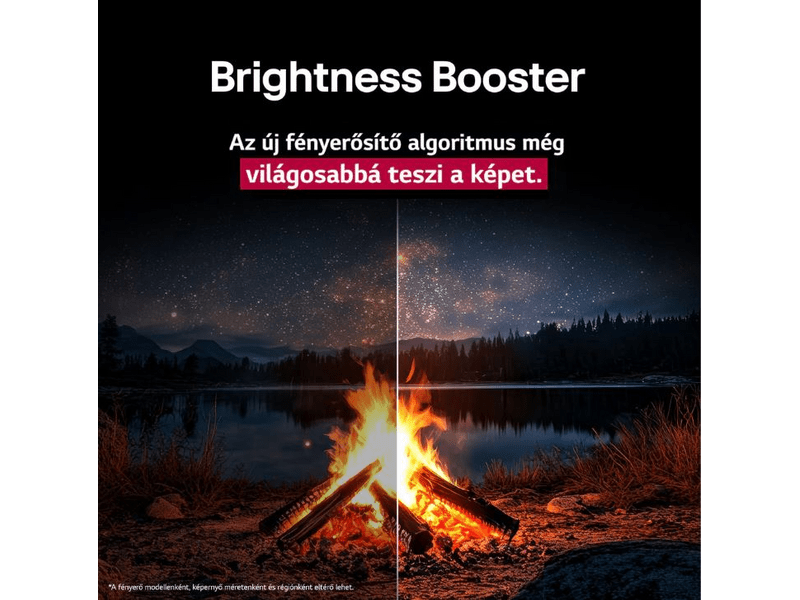 LG OLED evo AI OLED55C51LA 55