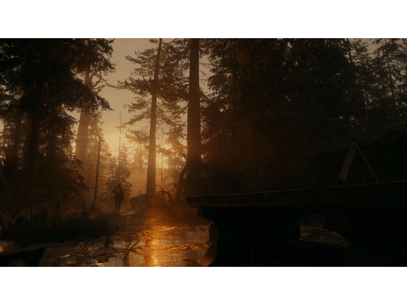 Alan Wake 2 Deluxe Edition - PS5 játék