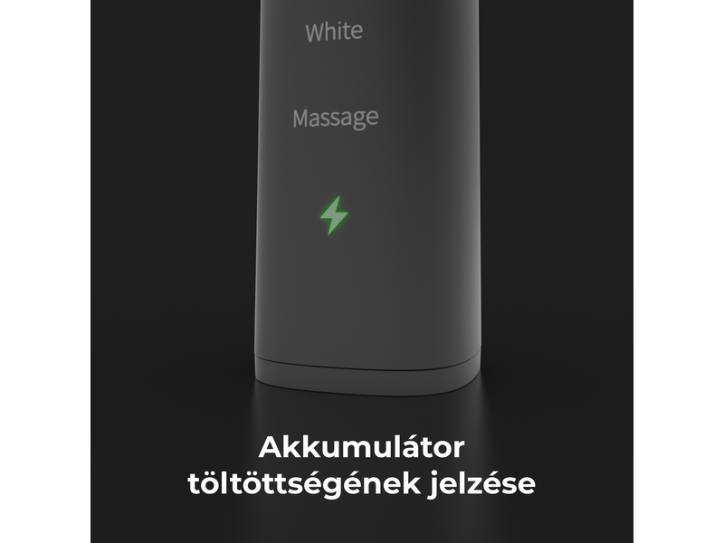 Aeno DB4 električna četkica za zube (ADB0004)