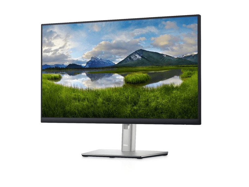 Dell P2422H (210-AZYX) 24