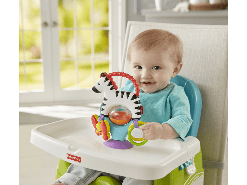 Fisher Price Activity Zebra (FGJ11)