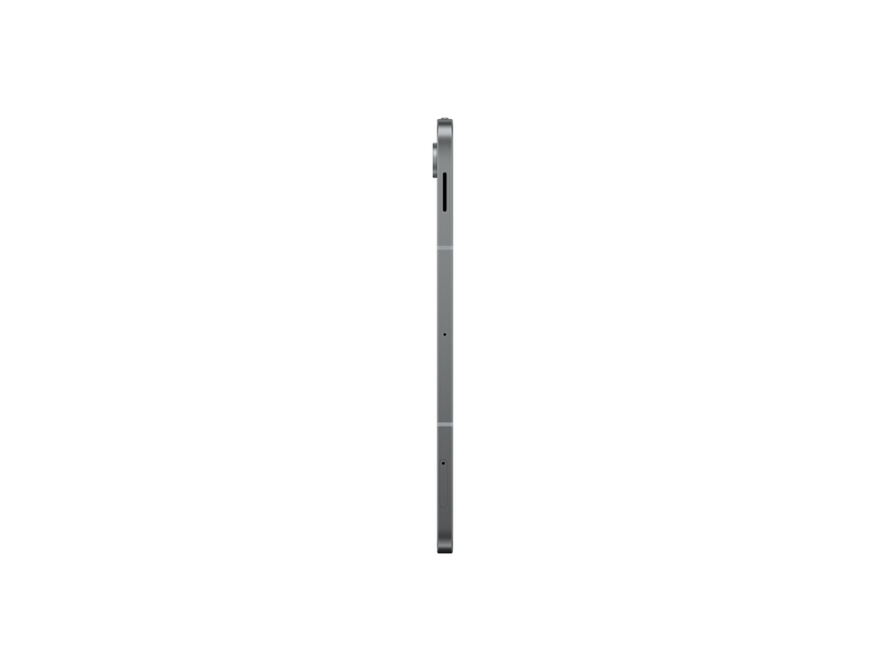 10.9 OC 256/12GB 12/13MP, Gray