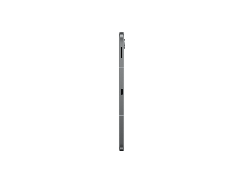 10.9 OC 256/12GB 12/13MP, Gray