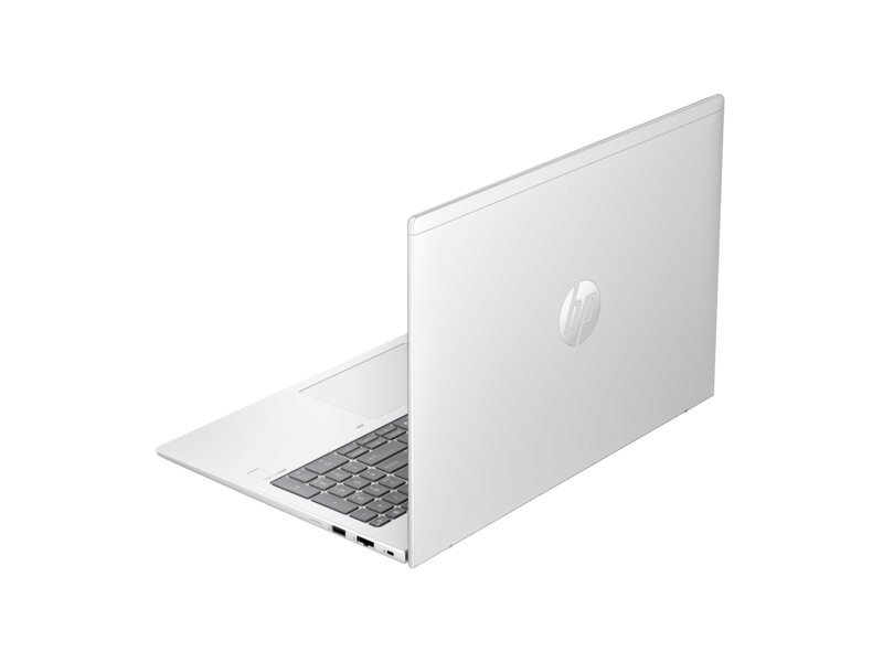HP ProBook 460 G11 (9C089EA) Notebook + Windows 11 Pro