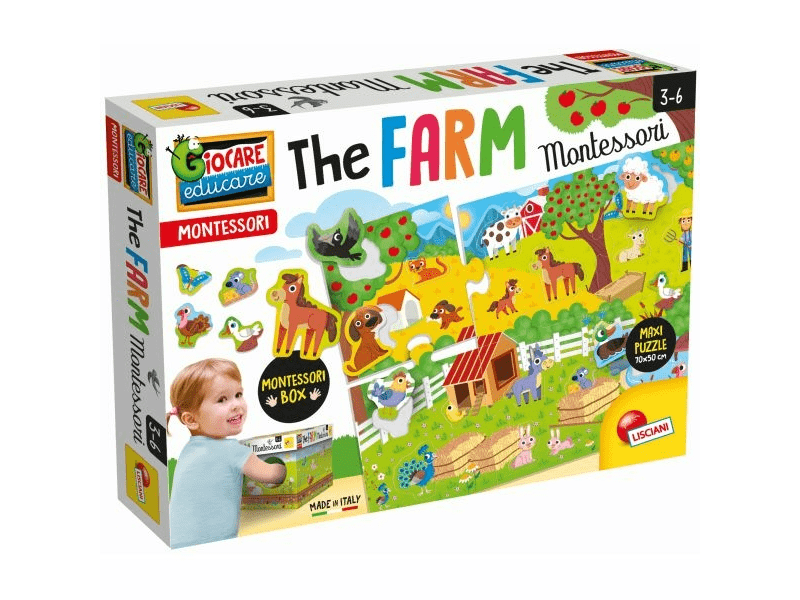 Montessori maxi farm
