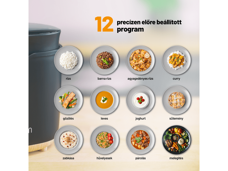 Multifunkciós rizsfőző, fekete,400W,2L