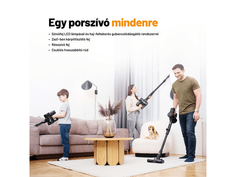 Lauben NSV2V1P400BC 2in1 Pet Plus kéziporszívó