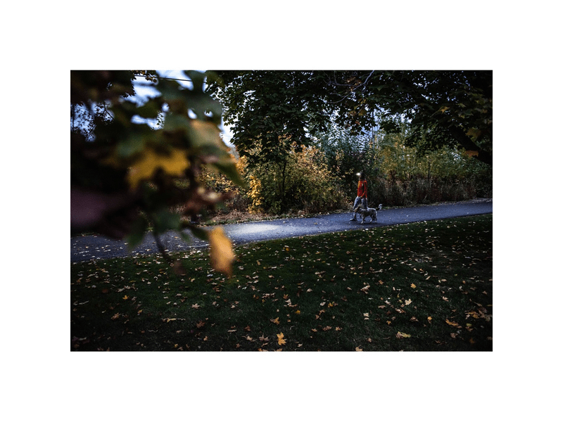 Ledlenser HF4R Tölthető fejlámpa, piros (502792)