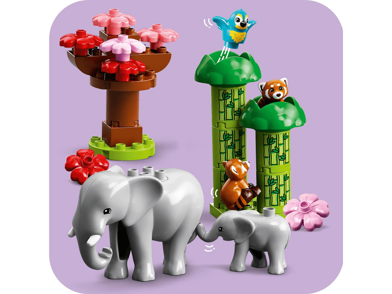 LEGO® DUPLO® Town Ázsia vadállatai (10974)