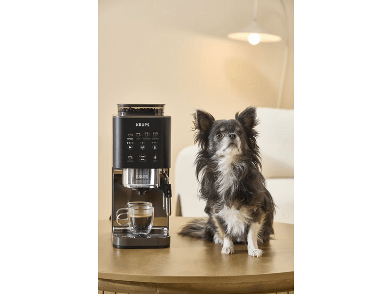 Krups SA403BE0 Crush automatski aparat za kavu, srebrne boje