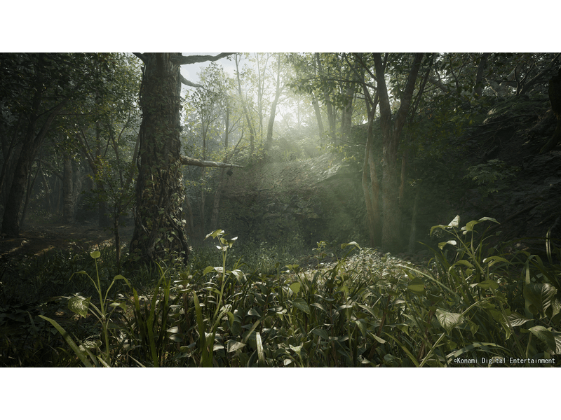 Metal Gear Solid Delta: Snake Eater, Day 1 Edition - Xbox Series X játék