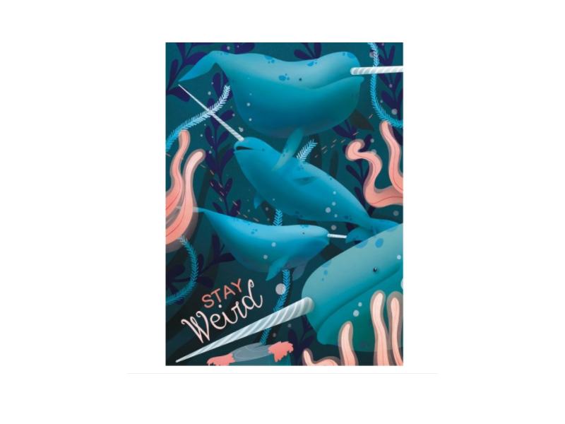 Clementoni 35099 Puzzle Mentoni Narwhal 500 db