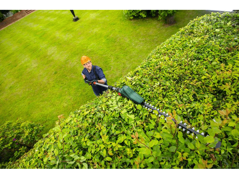 Bosch Universal HedgePole 18 Akkus teleszkópos sövénynyíró (06008B3000)