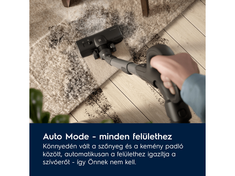 Electrolux EB81A3UG Animal 800 Porzsákos porszívó