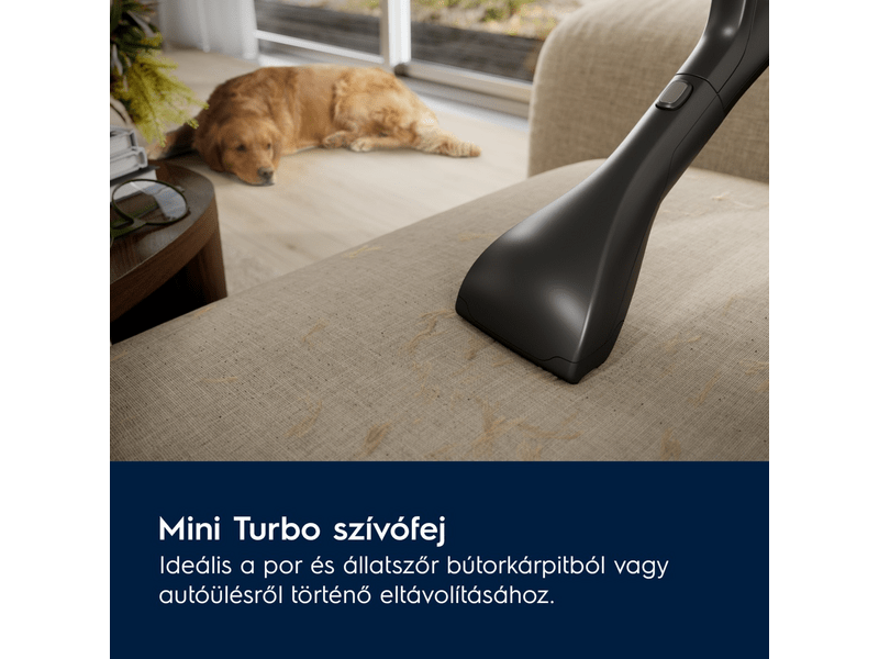 Electrolux EB81A3UG Animal 800 Porzsákos porszívó