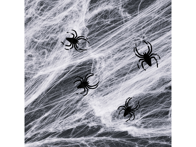 Family 56510C Pókháló és pókok