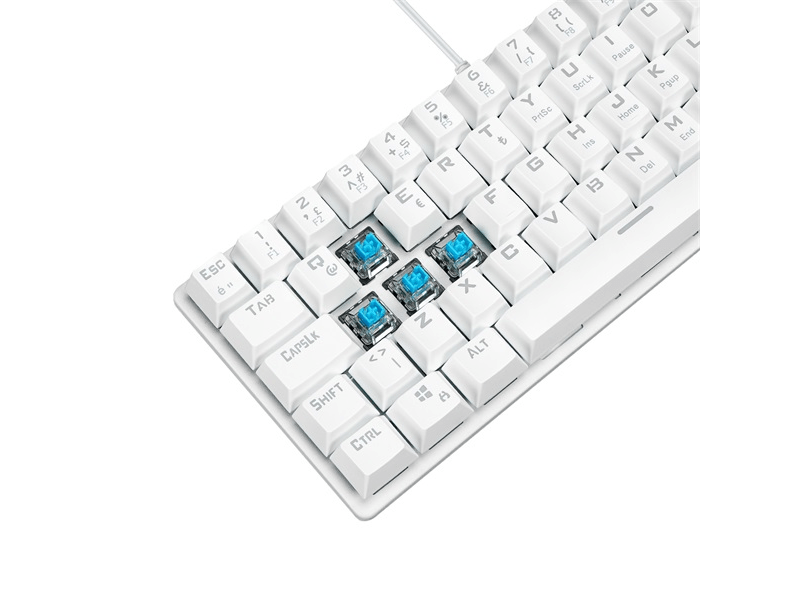 Rampage PLOWER K60 Mechanikus billentyűzet, US kiosztás, fehér
