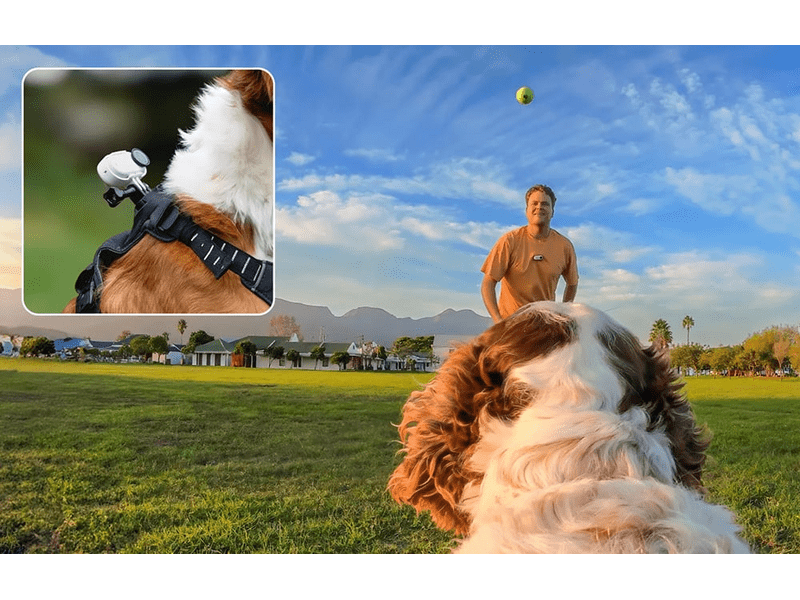 Insta360 GO 3/GO 3S kamerarögzítő kisállat hám, S méret (CINSBAVX)