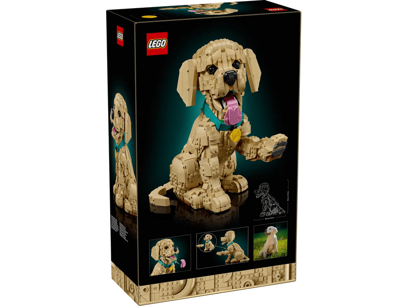 LEGO® Icons Golden retriever kutyus (11384)