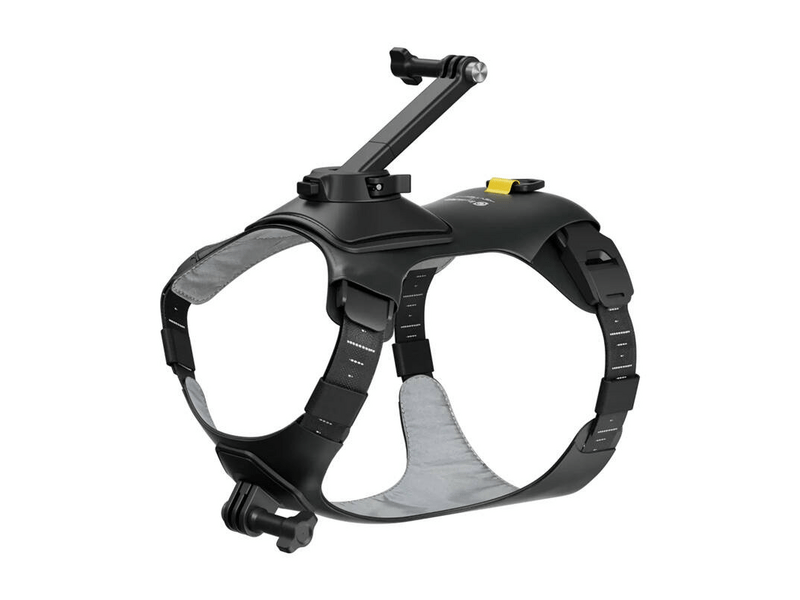 Insta360 GO 3/GO 3S kamerarögzítő kisállat hám, M méret (CINSBAVW)