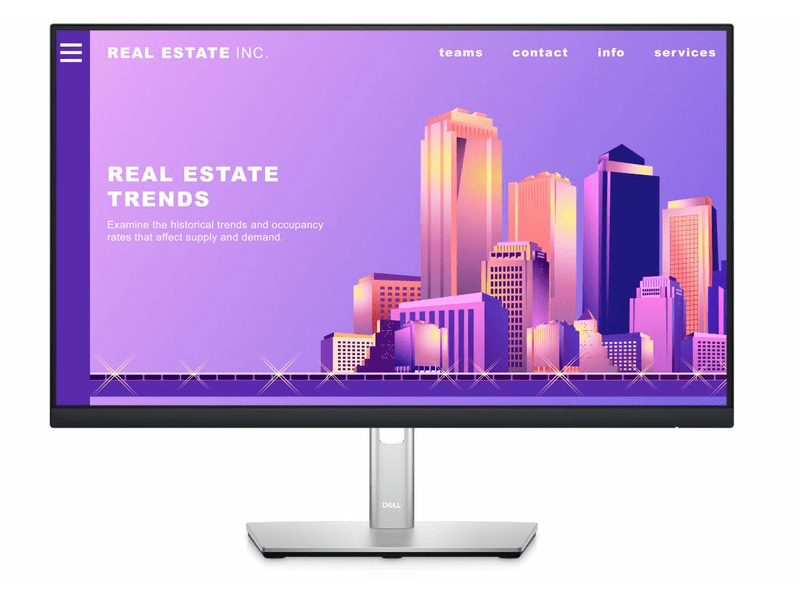 Dell P2422H (210-AZYX) 24