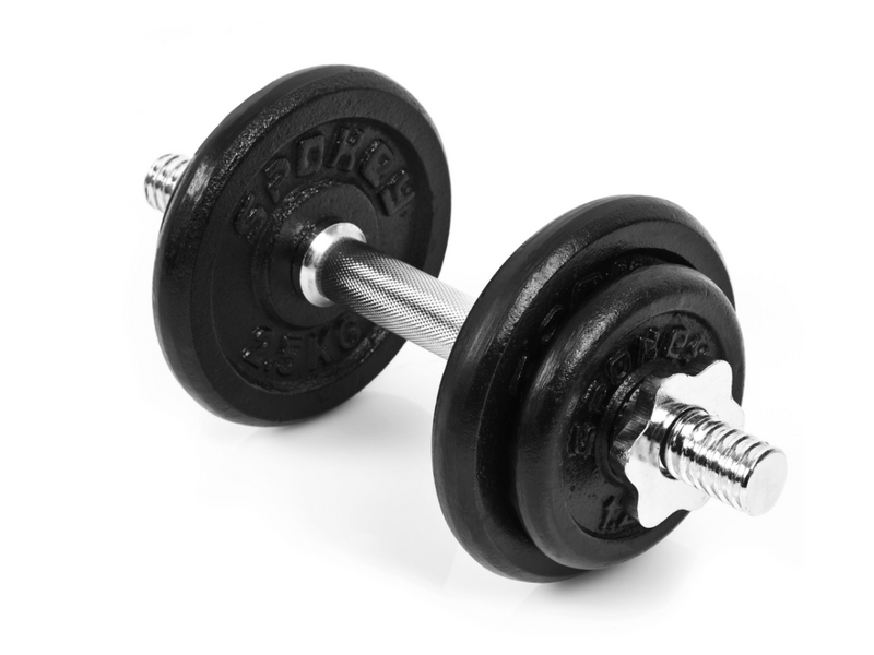 Spokey Egir egykezes kézisúlyzó, 10 kg (8447)