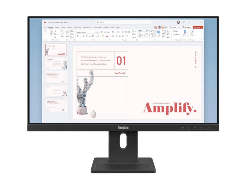 Lenovo ThinkVision E24-40 23,8