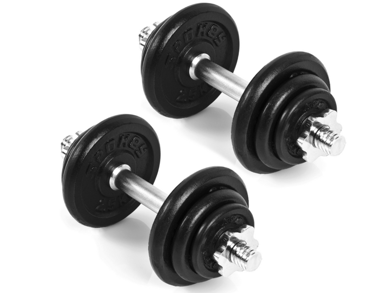 Spokey Egir egykezes kézisúlyzó, 2x 10 kg (8446)