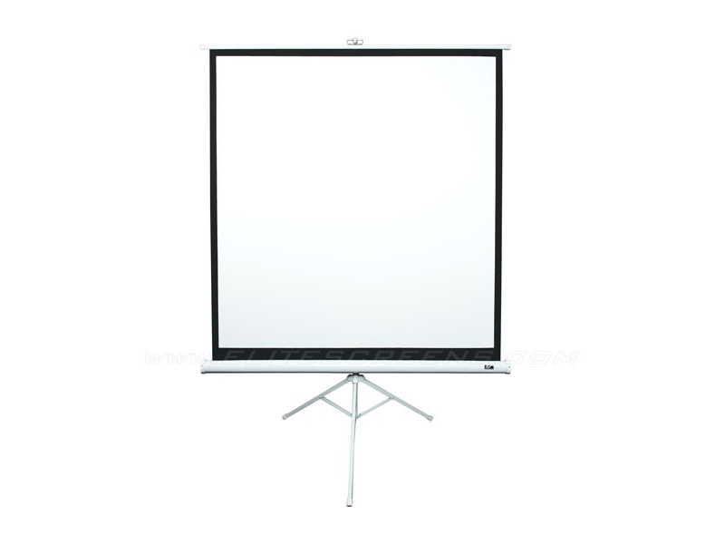 Elite Screens T113NWS1 113