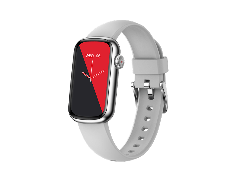 Garett Action Okosóra, ezüst