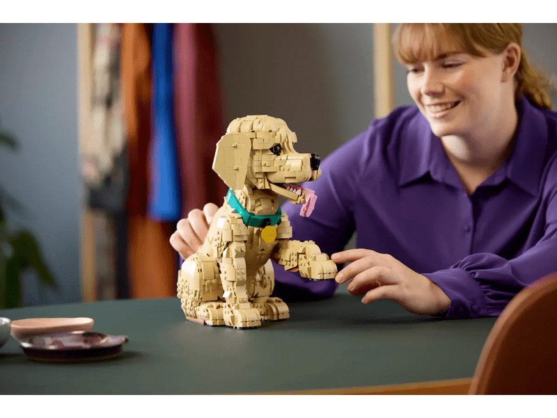 LEGO® Icons Golden retriever kutyus (11384)