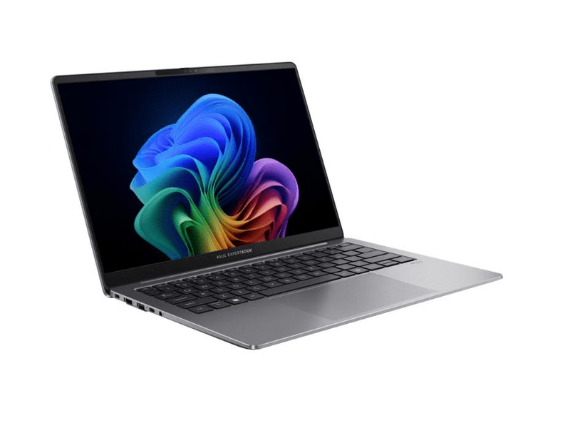 Asus ExpertBook P5 P5405CSA-NZ0398W Notebook + Windows 11