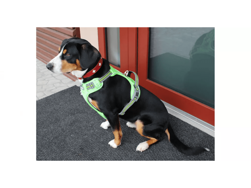 Ergo Dog kutyahám, zöld, M méret