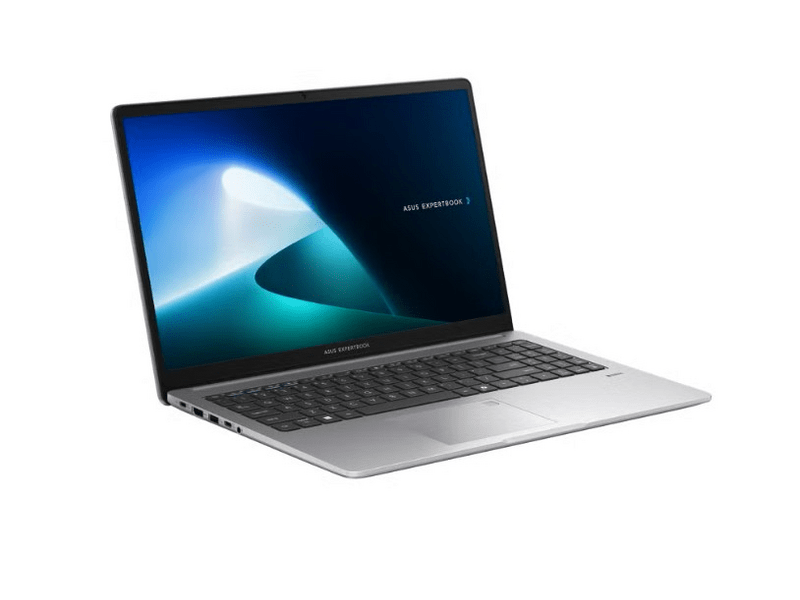 Asus ExpertBook P1 P1503CVA-S73848W Notebook + Windows 11
