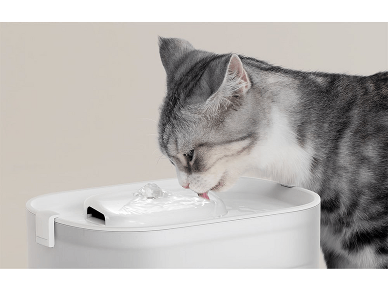 Petlibro Dockstream macskaitató vezeték nélküli pumpával (PL-WF005-31W)