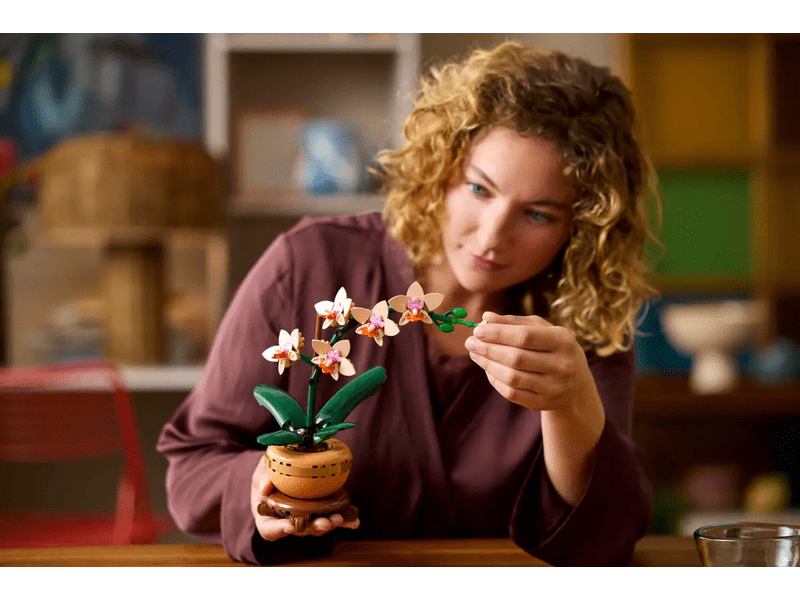 LEGO® Botanicals Mini orchidea (10343)