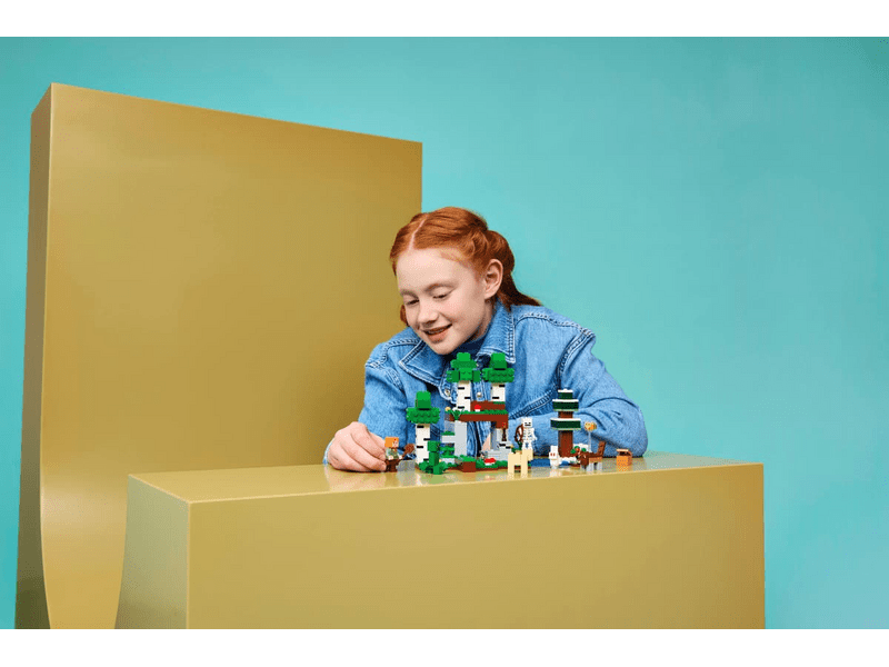 LEGO® Minecraft® Az első éjszaka kalandjai (21593)