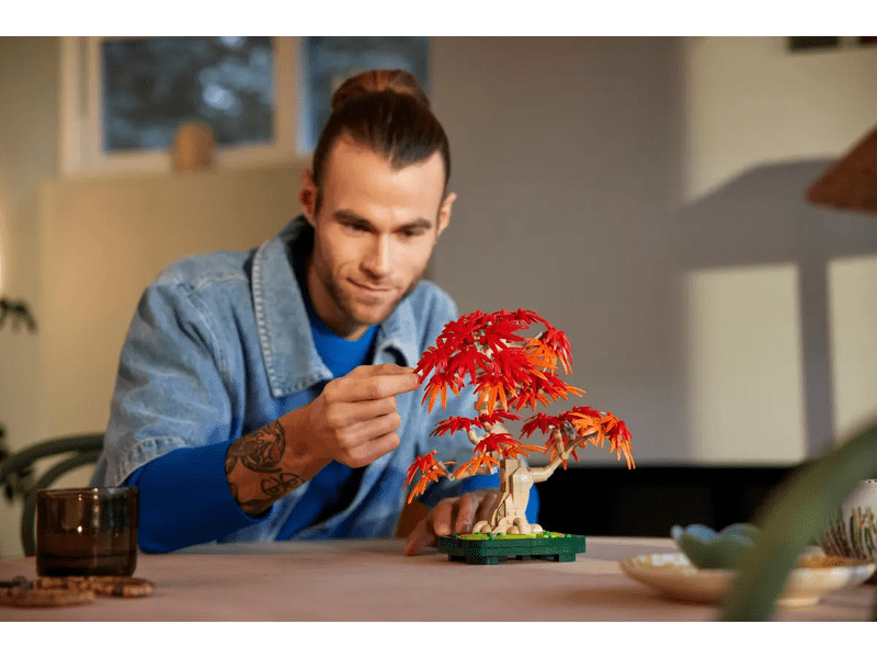 LEGO 10348