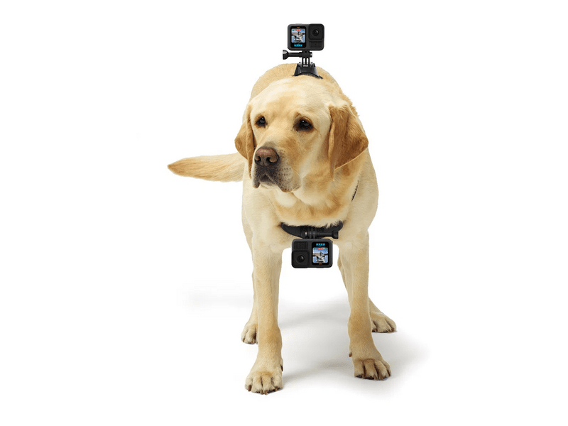 GoPro Fetch Dog Harness Kutyahám kameratartó (ADOGM-001)