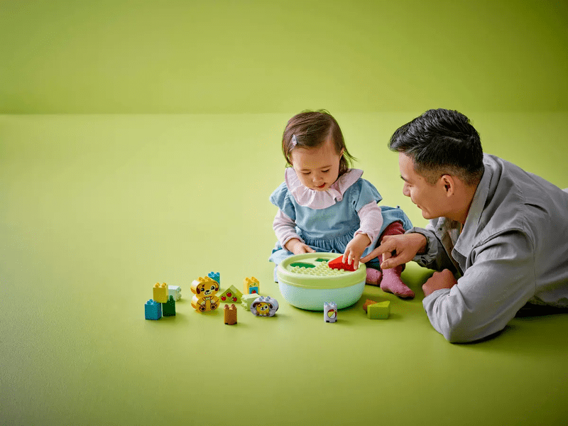 LEGO 10441