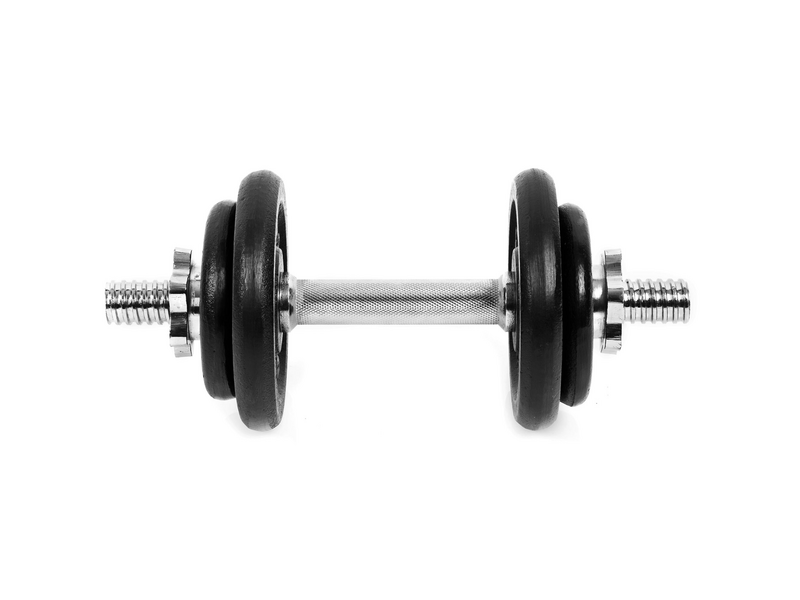 Spokey Egir egykezes kézisúlyzó, 10 kg (8447)