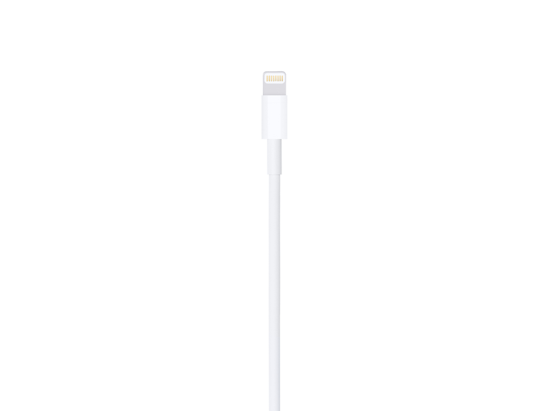 Lightning to USB Cable (1m)