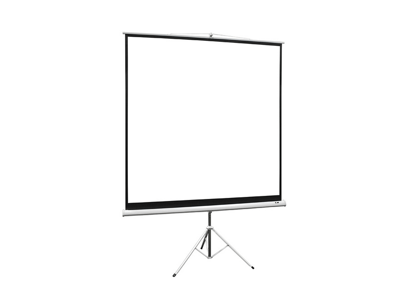 Elite Screens T113NWS1 113