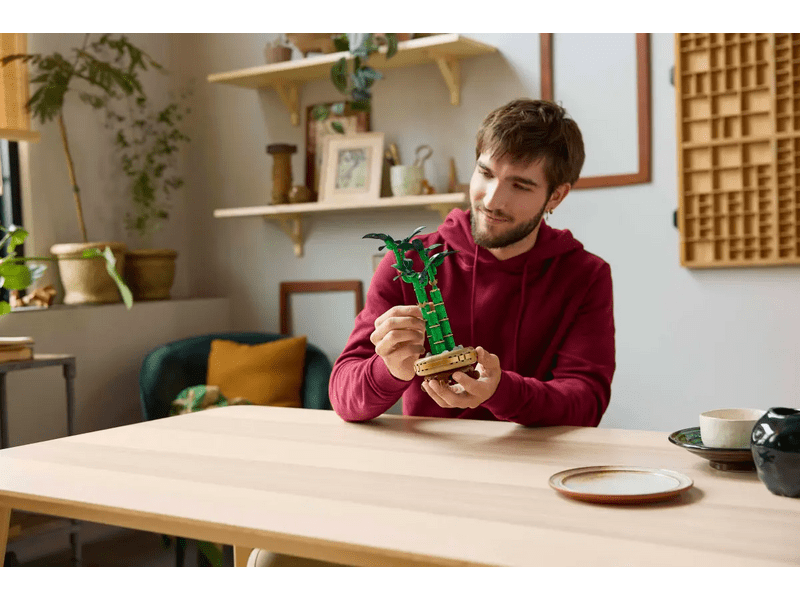 LEGO® Botanicals Szerencsebambusz (10344)