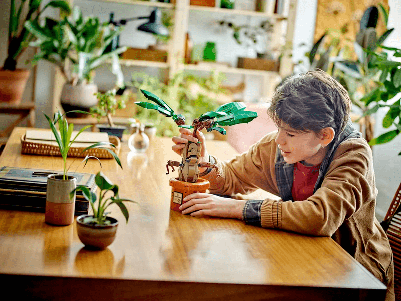 LEGO® Harry Potter™ Mandragora (76433)