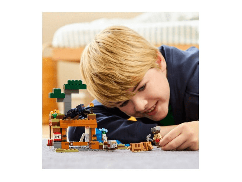 LEGO 21269