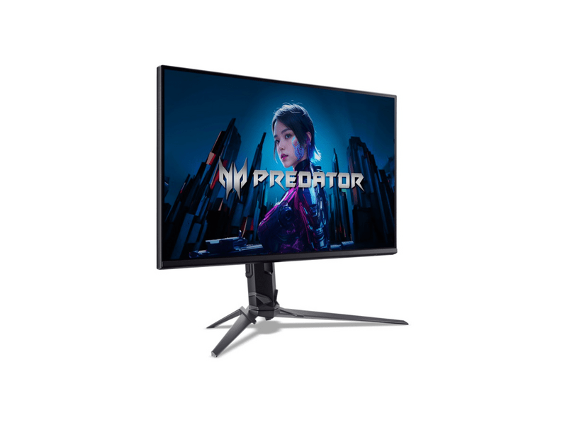 Acer Predator XB253QFbmiiprx (UM.KX0EE.F05) 24.5