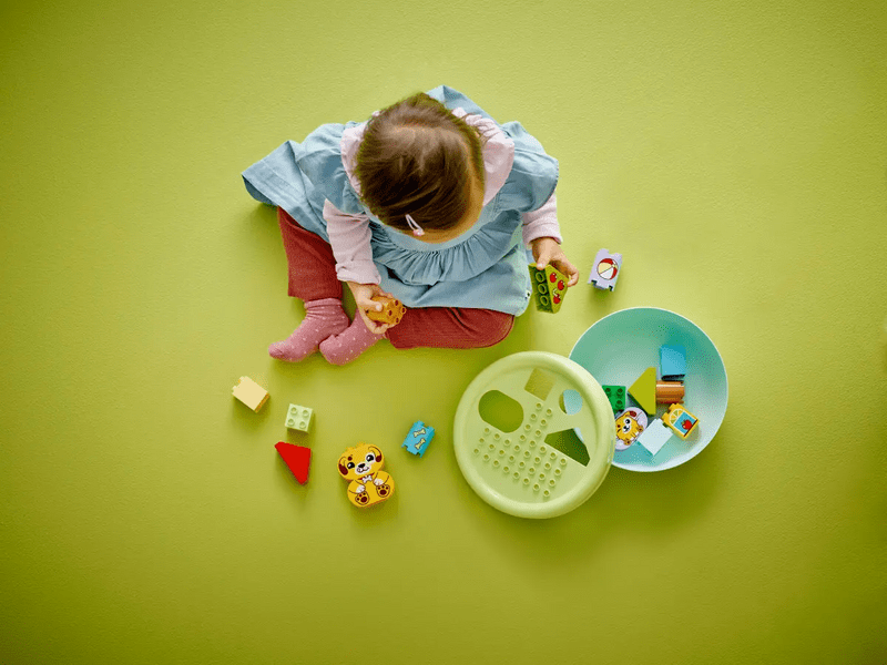 LEGO® DUPLO® First Shape Sorter: Kućica za pse (10441)